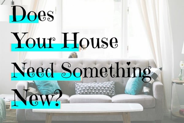 Does Your Home Need Something New? | Eclectic Evelyn