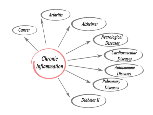 Silent Fire: How To Extinguish Chronic Inflammation | Eclectic Evelyn